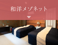 和洋メゾネット