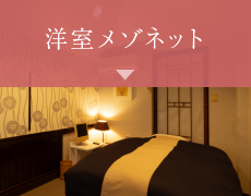 洋室メゾネット