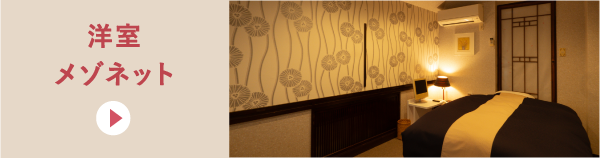 洋室メゾネット