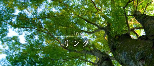 リンク Link