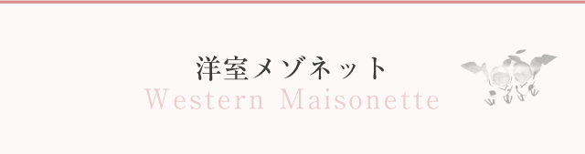 洋室メゾネット