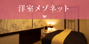 洋室メゾネット